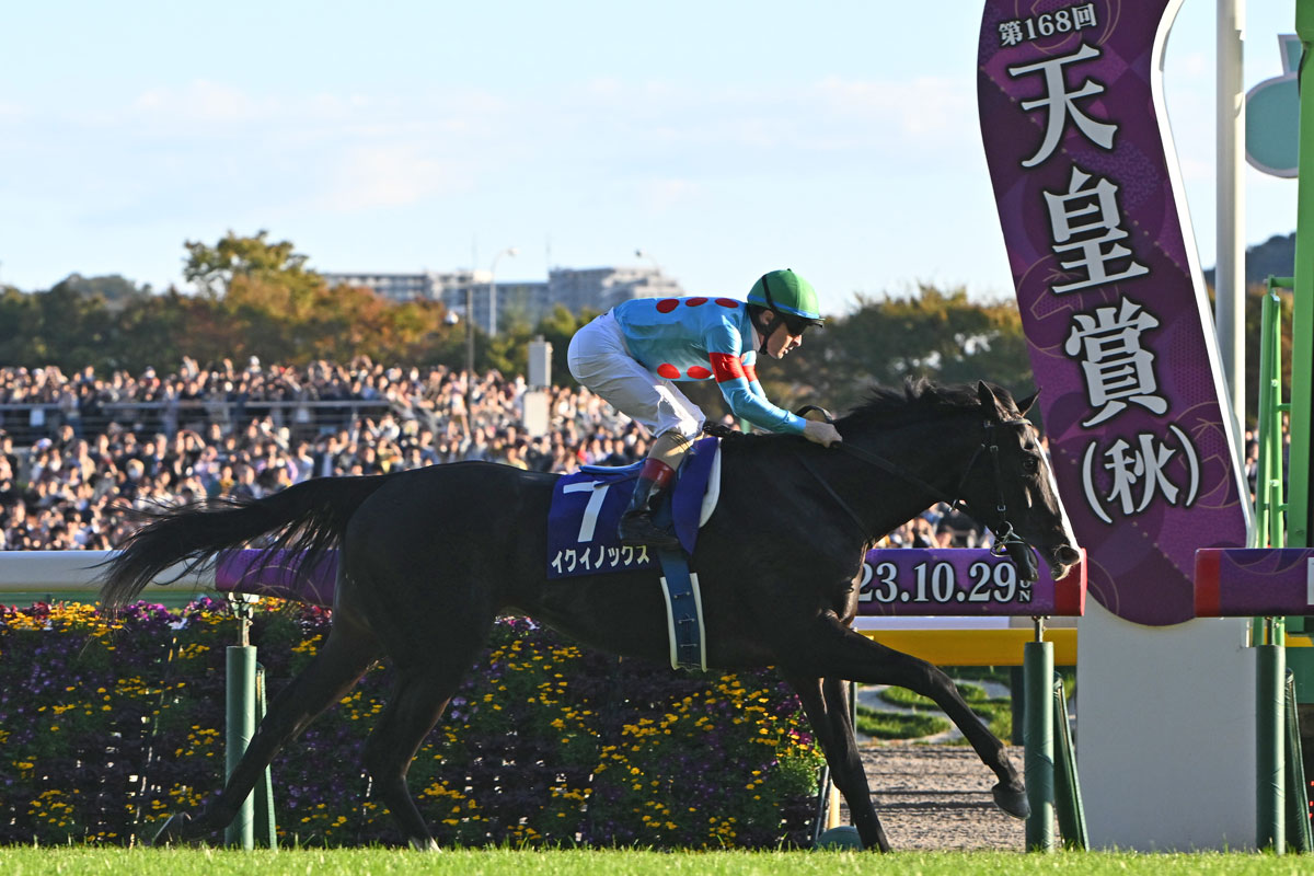 イクイノックス 22年天皇賞優勝記念アルバム 競馬 イクイノックス 22年