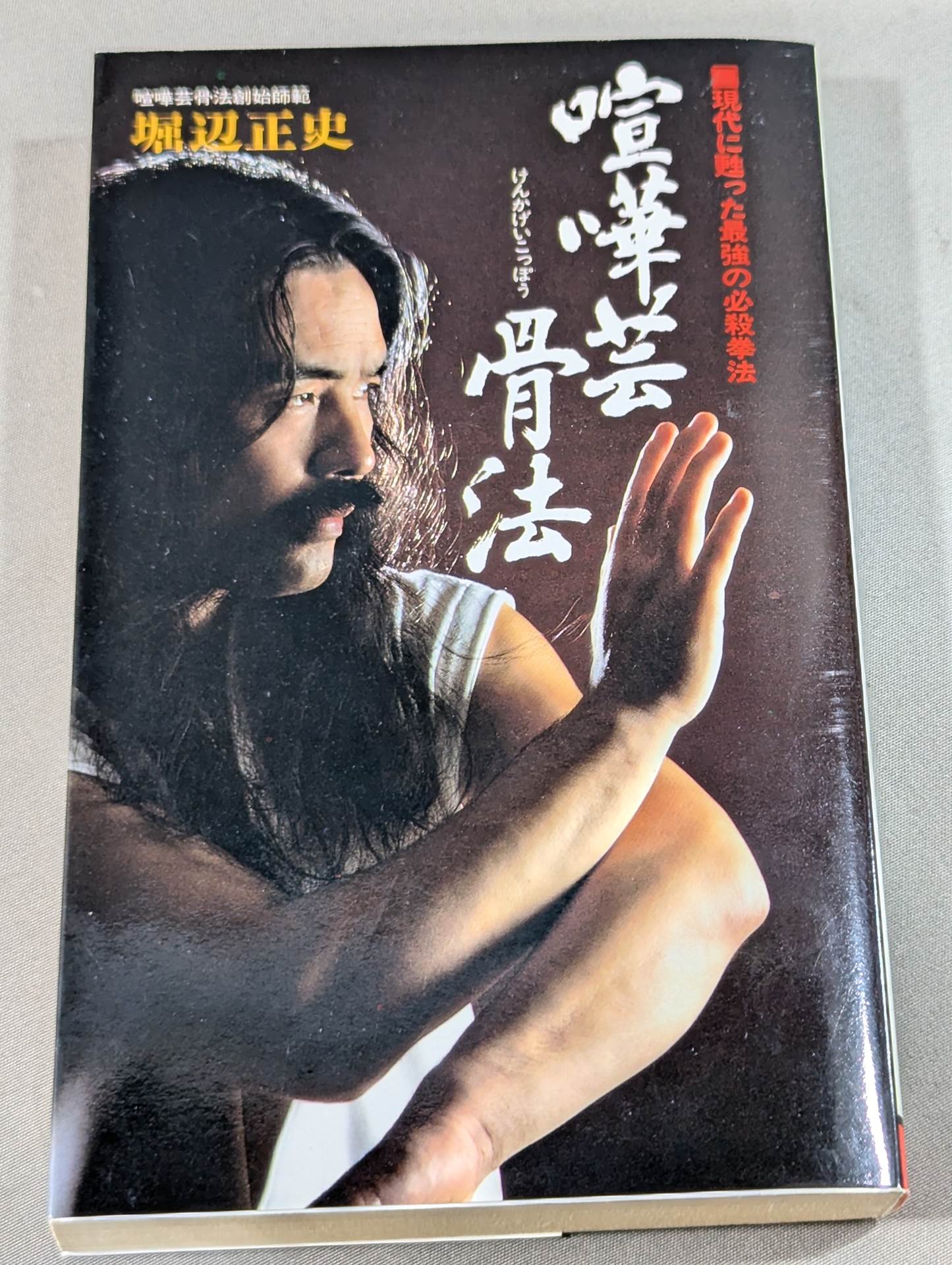 喧嘩芸骨法 現代に甦った最強の必殺拳法 – 闘道館