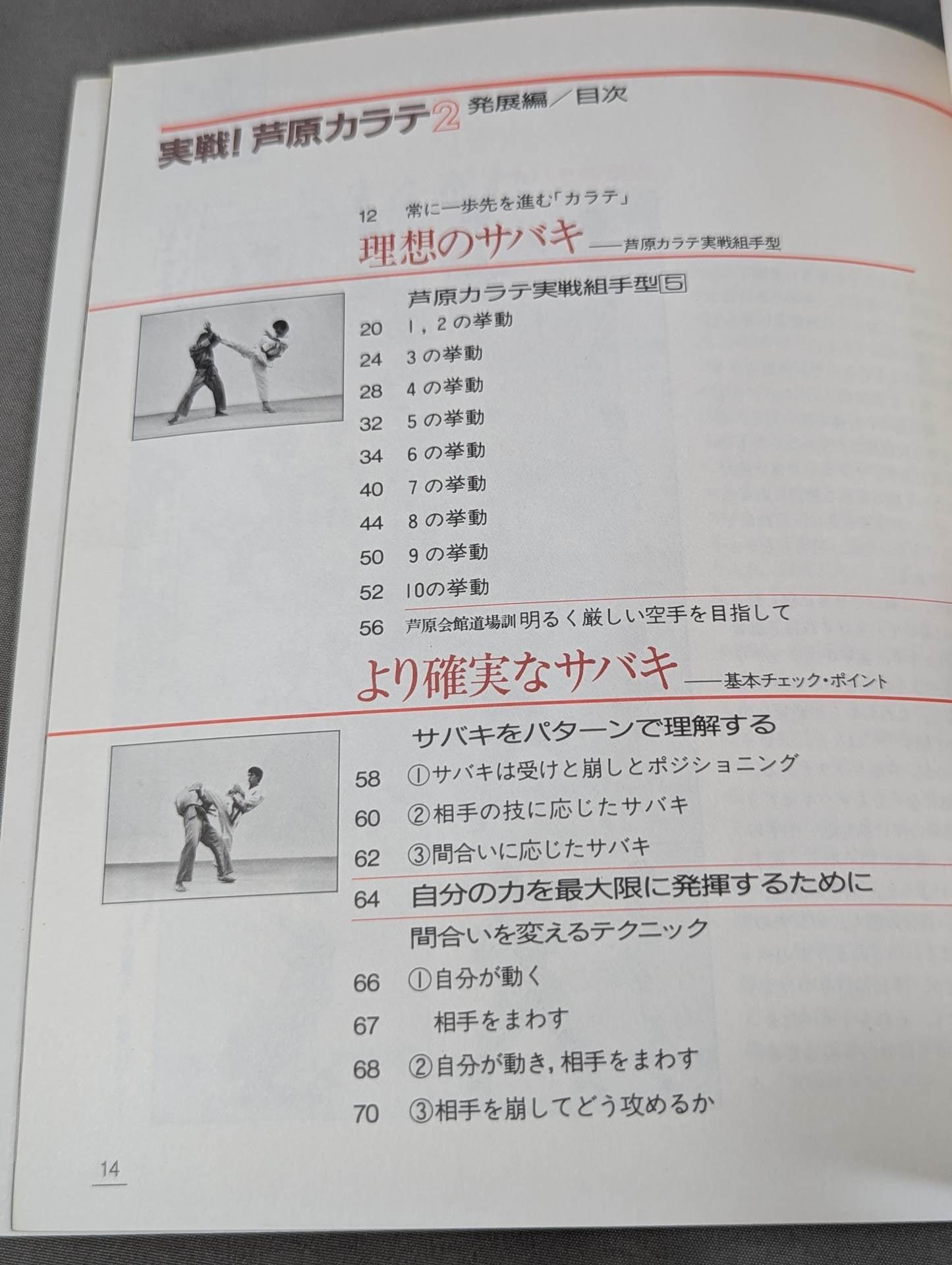 実戦!芦原カラテ2 発展編 – 闘道館