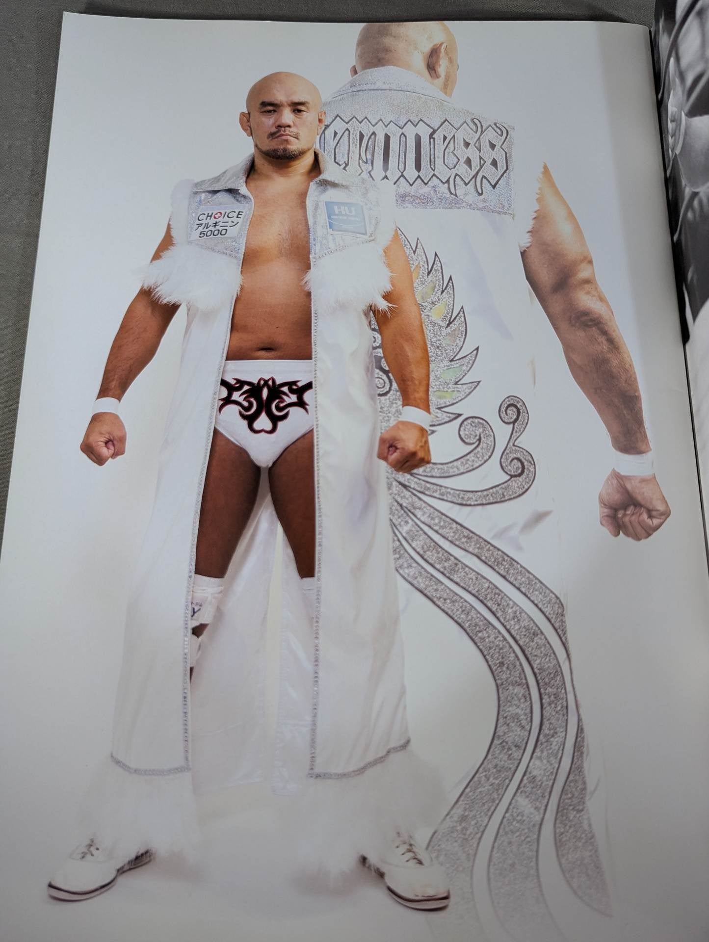 秋山準&大森隆男 デビュー25周年記念フォトブック – 闘道館