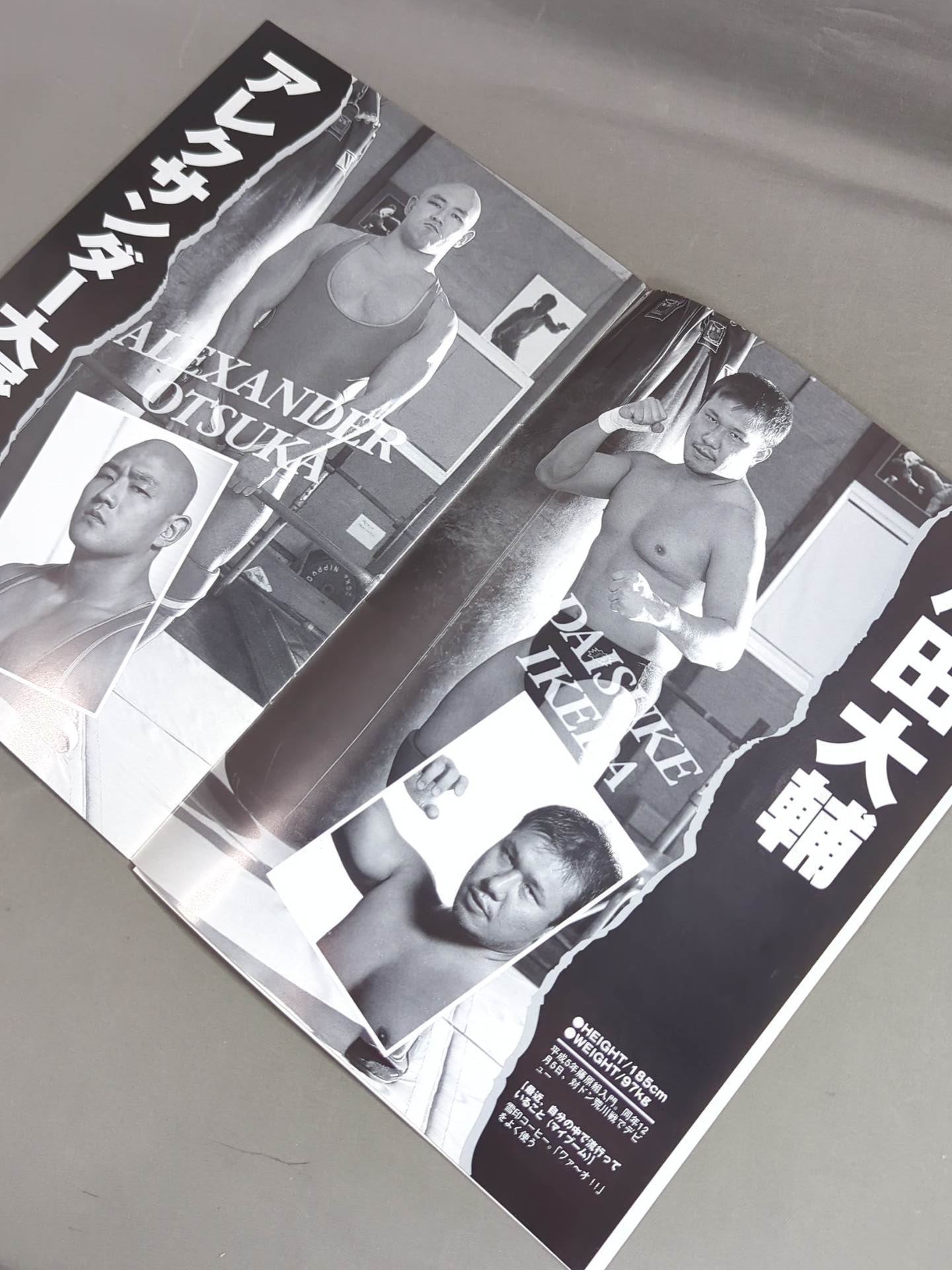 格闘探偵団バトラーツ / B-MY BABY – 闘道館