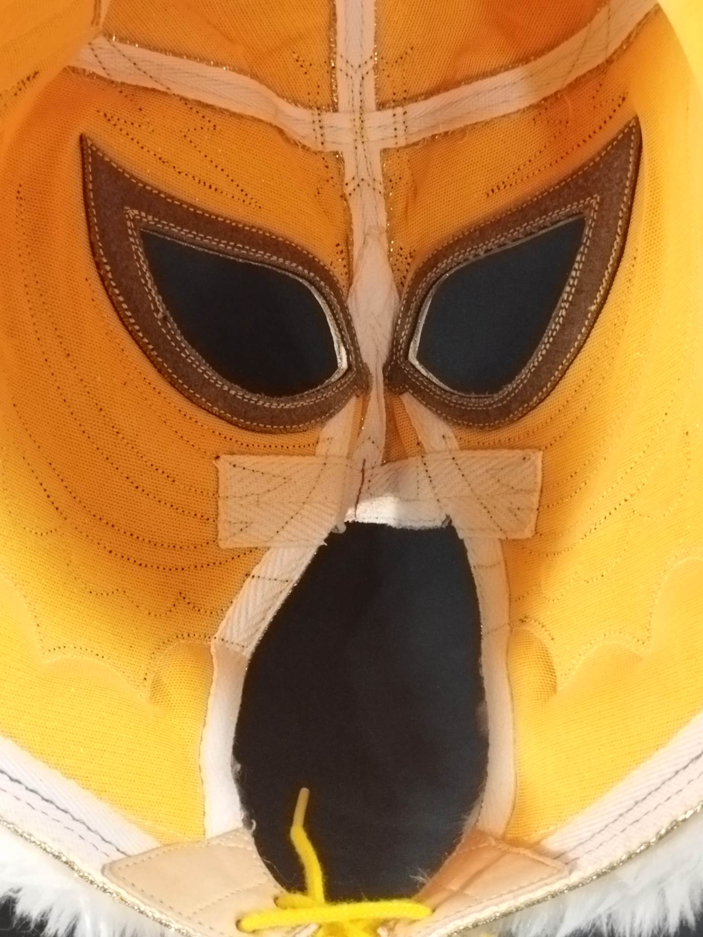 4代目タイガーマスク – 闘道館