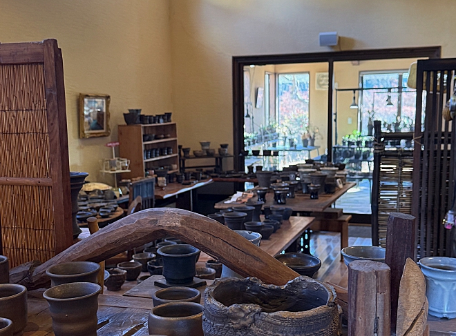 YOKOYAMA CAUDEX ART益子本店 ～塊根植物 アガベ鉢専門店～ | 益子焼