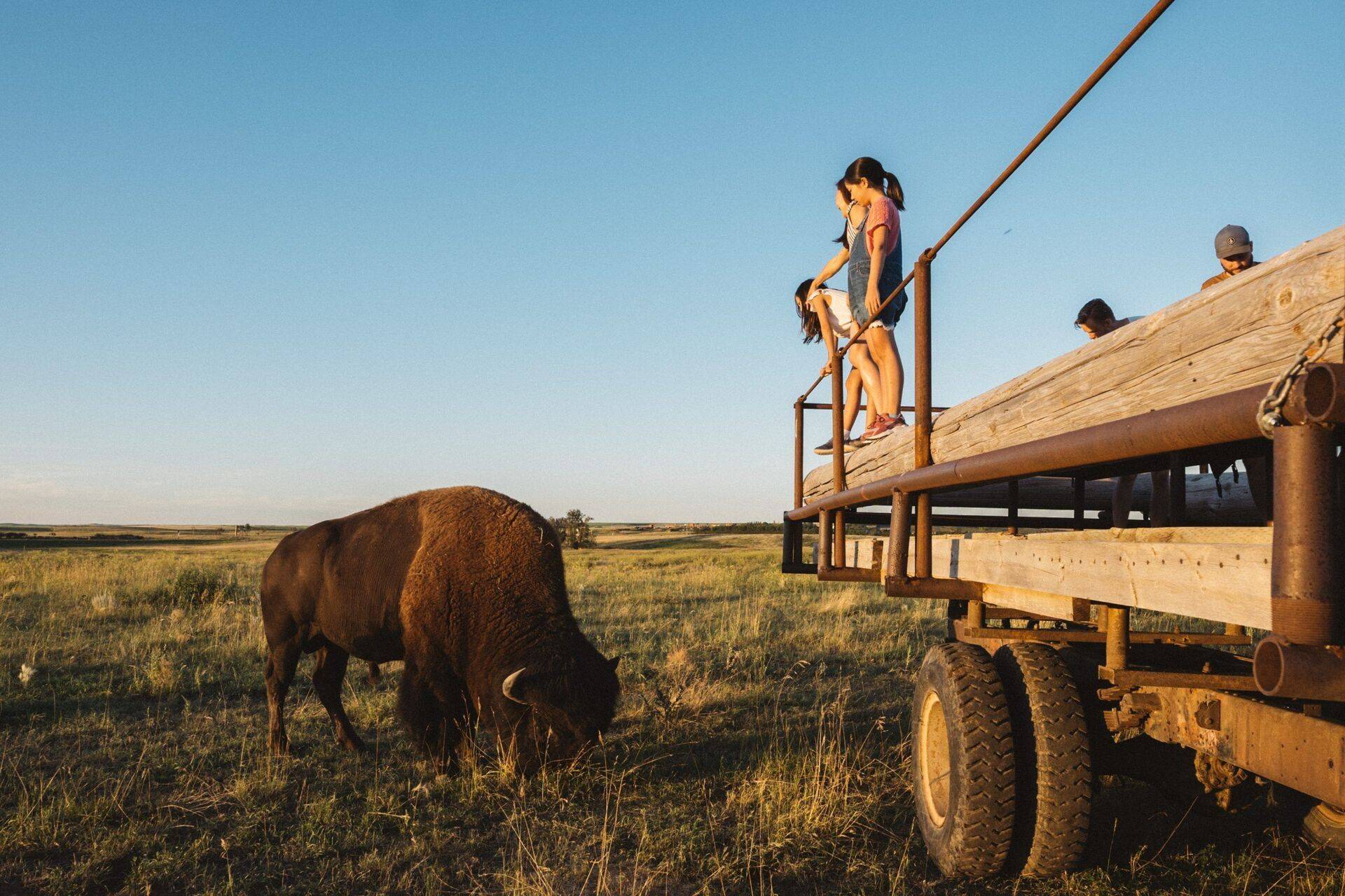 Wild West Badlands Tours - Tourisme Alberta