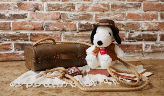 7月, 2025 - スヌーピータウンショップ