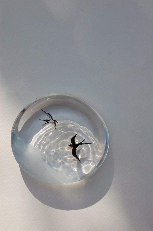 作家紹介｜視る。触れる。体験する。そうして、ガラスに逢う。富山