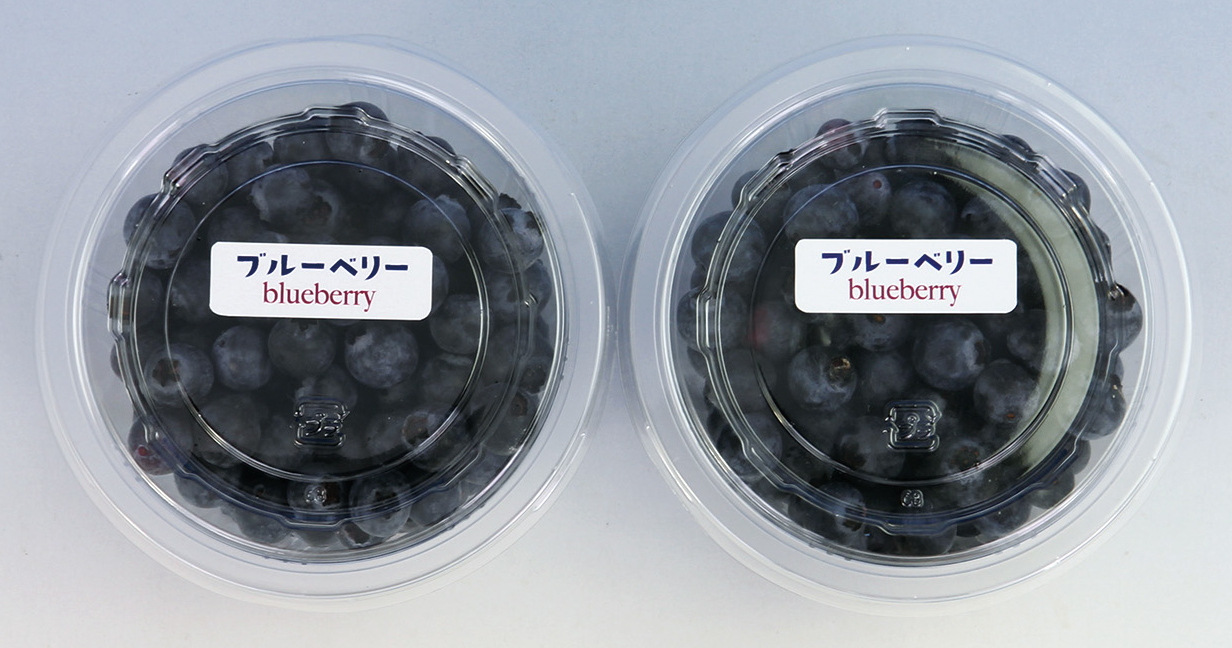 新商品のご紹介｜ラベルの東洋印刷 - ラベル印刷・シートカットラベル