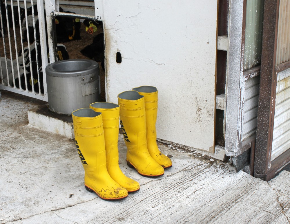 長靴 | 【公式】北海道十勝 トヨニシファーム