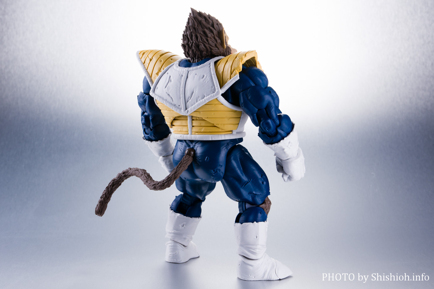 ドラゴンボール フィギュア 大猿ベジータ シッポ斬りVer トイフェス