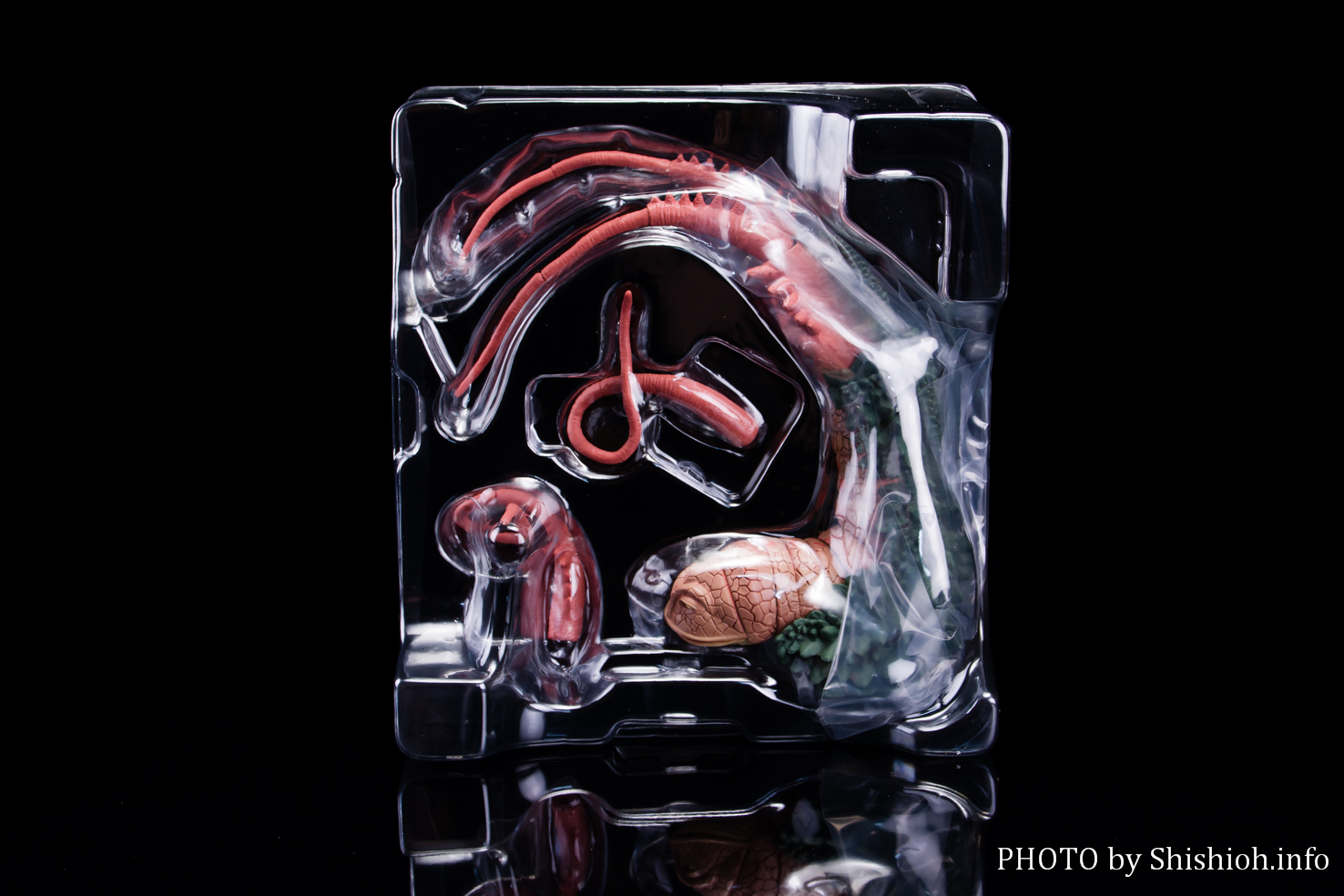 レビュー】S.H.Figuarts ツインテール