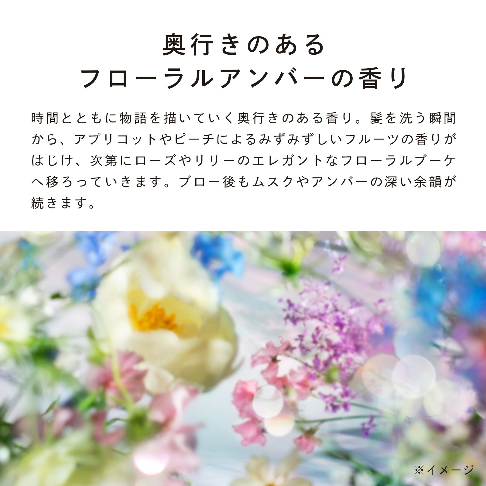 楽天市場】【ボトル3点セット】ヘアケア セット リファ ビューテック