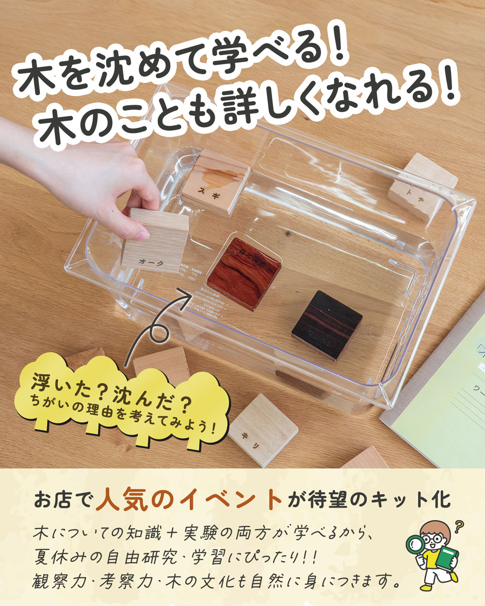 楽天市場】【ワークブック付き】木になる自由研究 夏休み 自由研究
