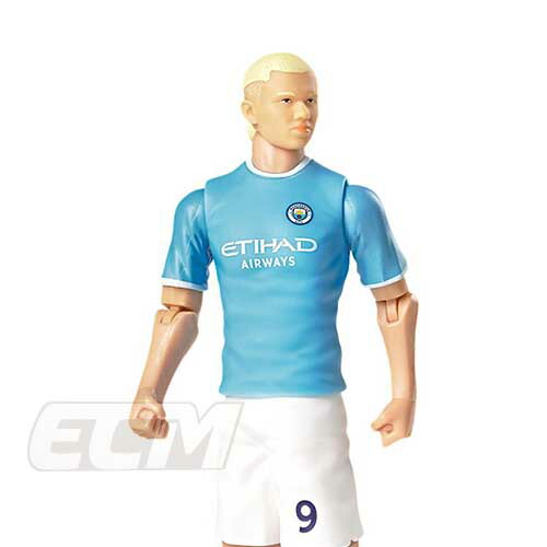 楽天市場】【SOK02】【国内未発売】SOCKERS ハーランド マンチェスター