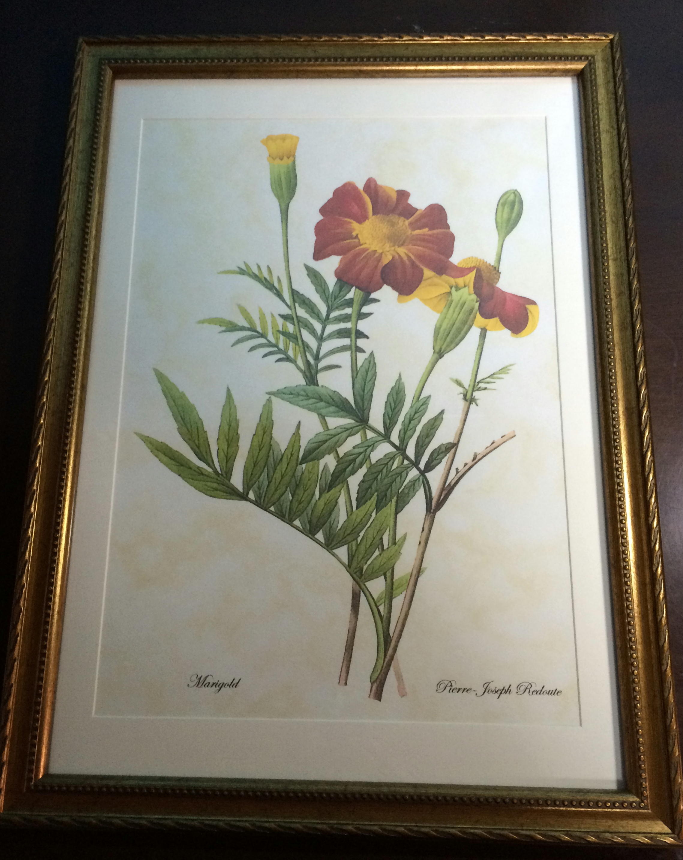 楽天市場】Pealimo インテリア 絵画 植物 ピエール ジョゼフ