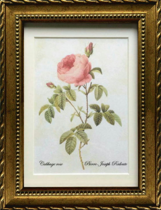 楽天市場】Pealimo インテリア 絵画 植物 バラ 薔薇 ピエール ジョゼフ