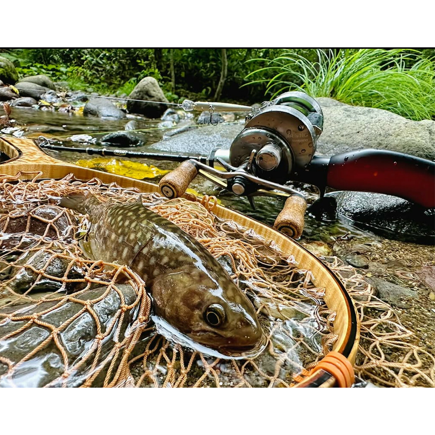 楽天市場】RGM(ルースター ギア マーケット) RGM SPEC.5+ 46-50B