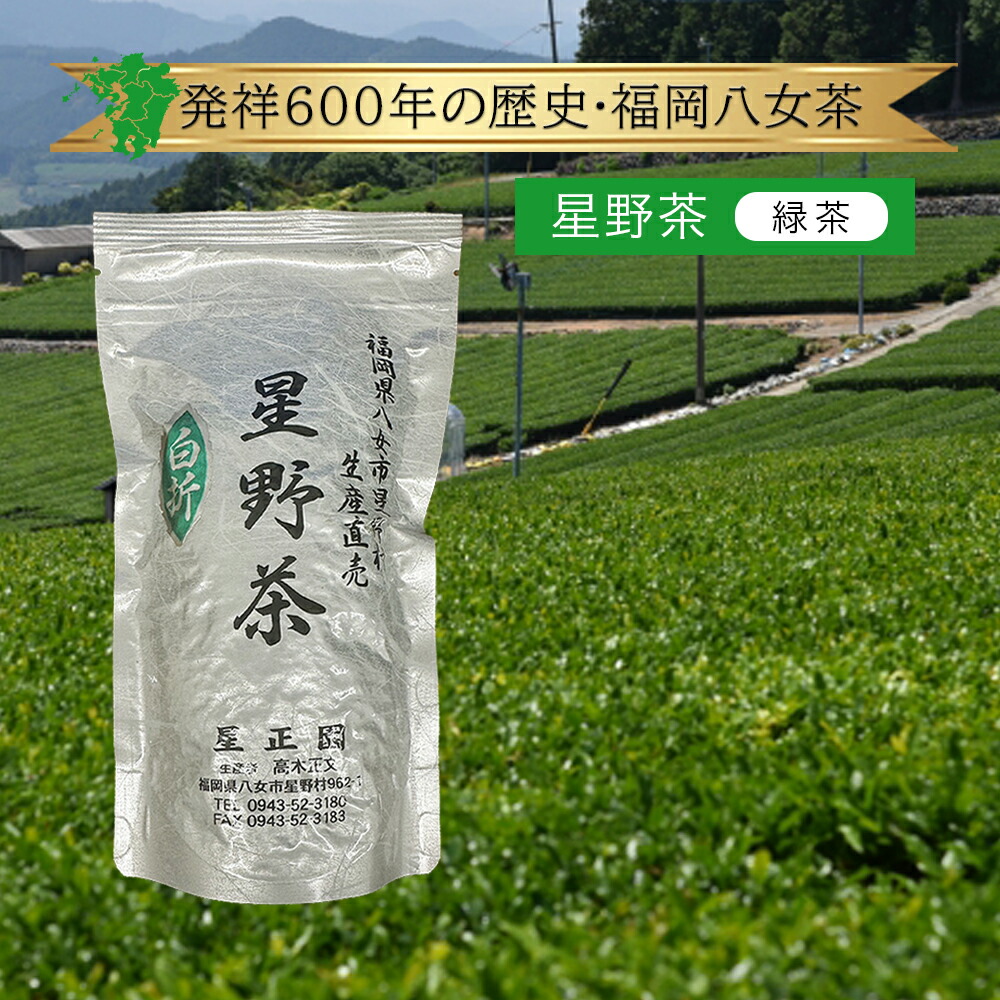 八女 抹茶 星野製茶園 八媛の白 夢殿 Matcha rare 星野製茶園 抹茶