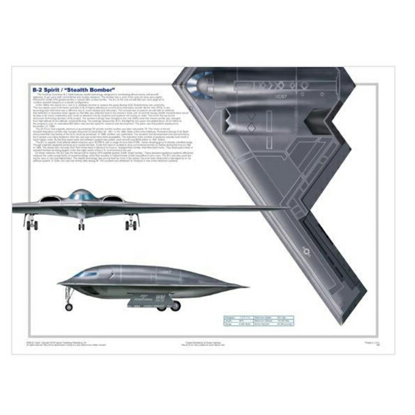 楽天市場】ポスター B-2 スピリット ステルス戦略爆撃機 46cm×61cm
