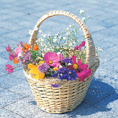 楽天市場】お花畑 フラワーシード 花摘みミックス 花のタネ 5g 20数種