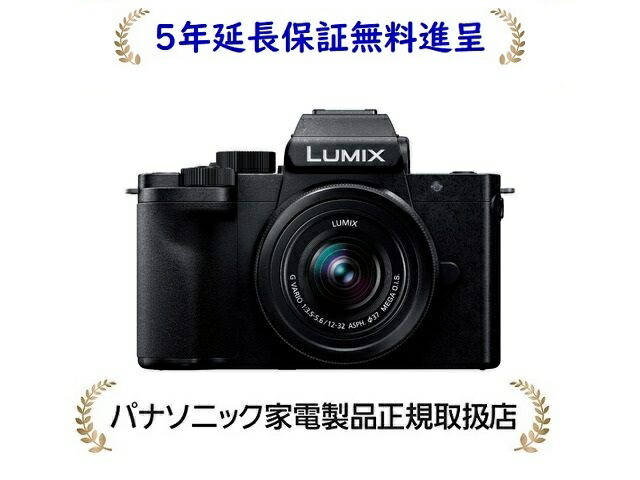 楽天市場】パナソニック DC-G100DK-K[5年延長保証無料進呈☆]LUMIX