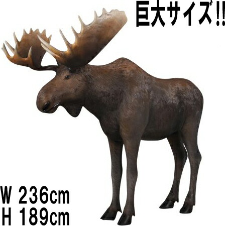 楽天市場】大迫力！ ムース Moose 体長約2m36cm 強化プラスチック（FRP