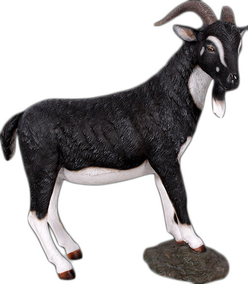 楽天市場】雄ヤギ・ブラック＆ホワイト Billy Goat 強化プラスチック