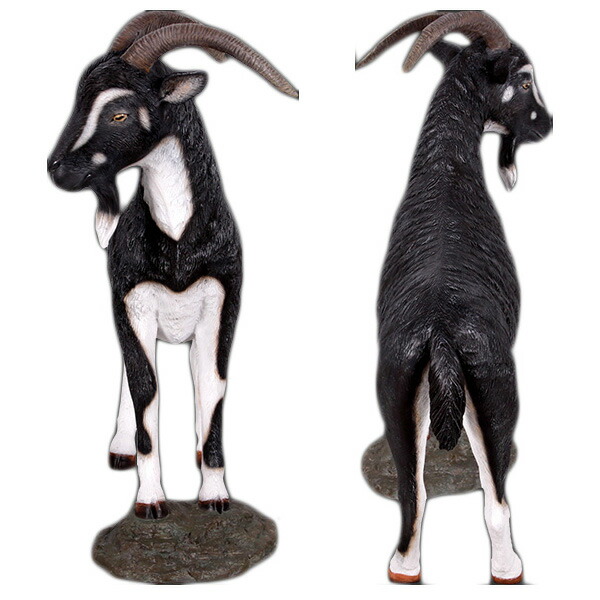 楽天市場】雄ヤギ・ブラック＆ホワイト Billy Goat 強化プラスチック