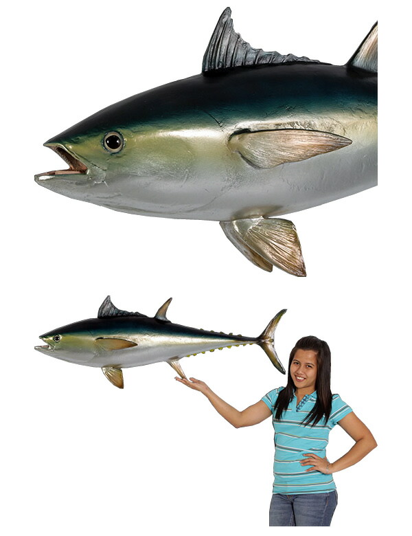 楽天市場】FRPアニマルオブジェ マグロ Bluefin Tuna リアル 実物大 鮪