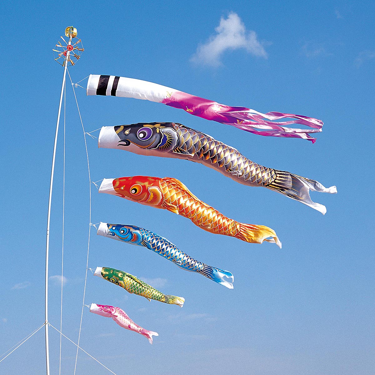 楽天市場】鯉のぼり 庭用 空鯉 5m 8点 庭園用 大型セット/ポール別売り