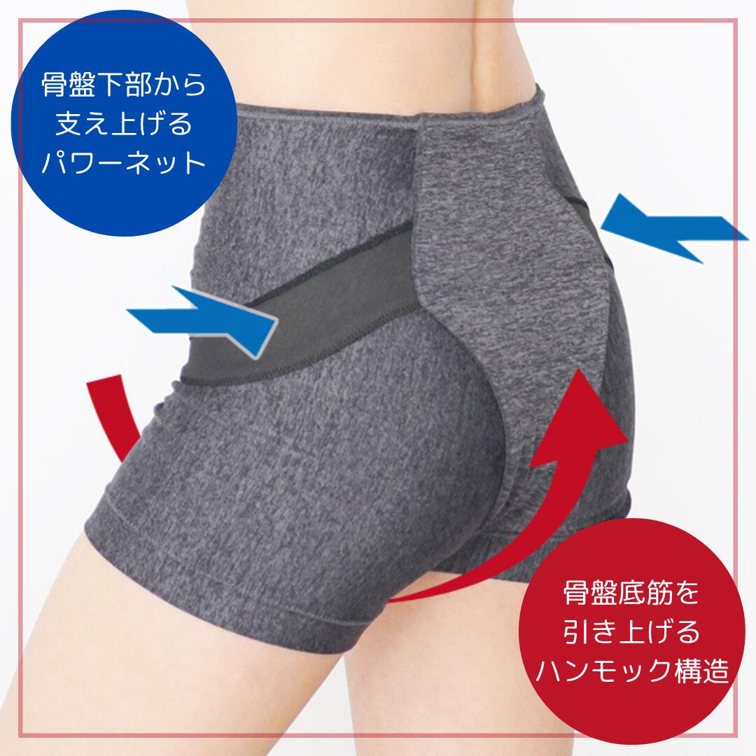 楽天市場】トコちゃんベルト 青葉 骨盤 ダブルサポート パンツ 産後