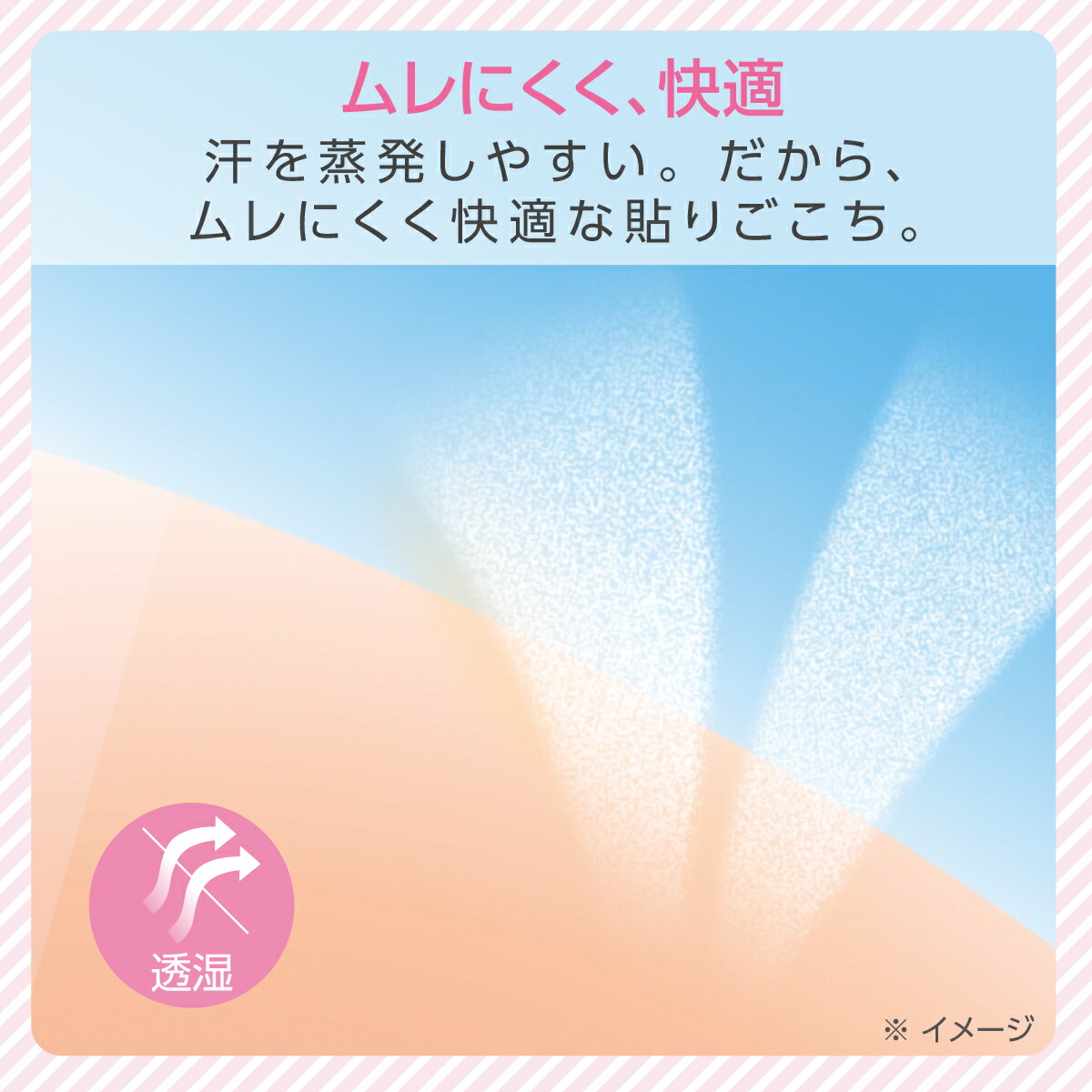 楽天市場】skinix エアウォールふわり 100mm×2m 超ゼロ感覚 防水