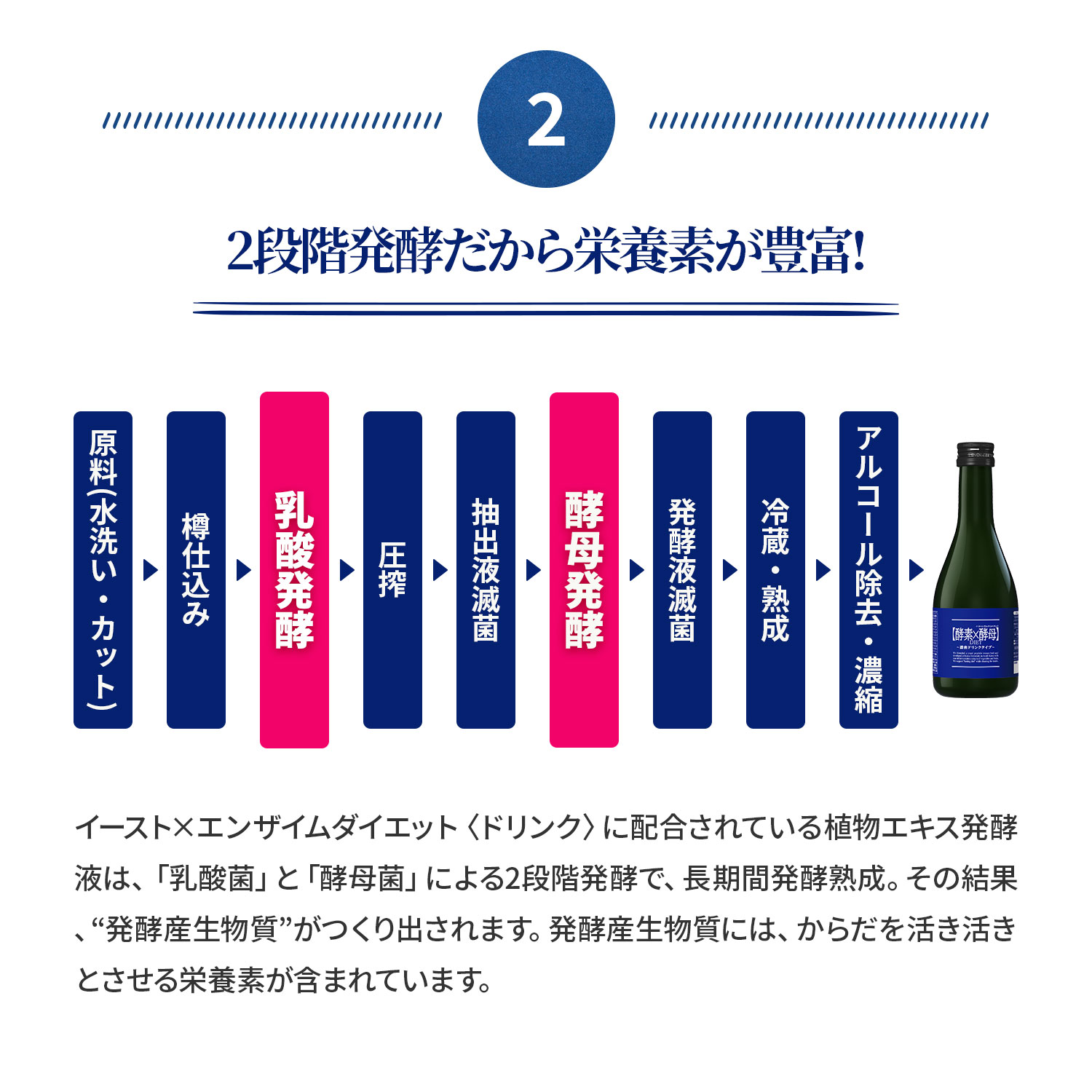 楽天市場】【公式】 酵素 × 酵母 イースト × エンザイム ダイエット