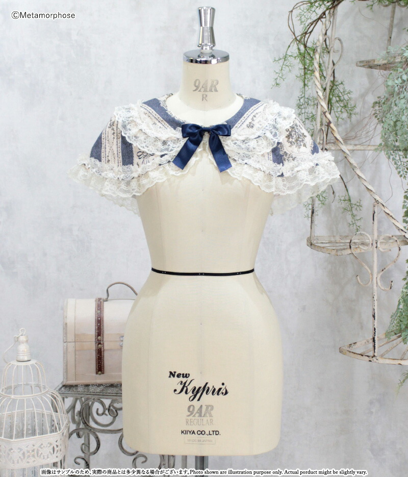 楽天市場】【予約】【2期：2024年12月～2025年1月頃入荷