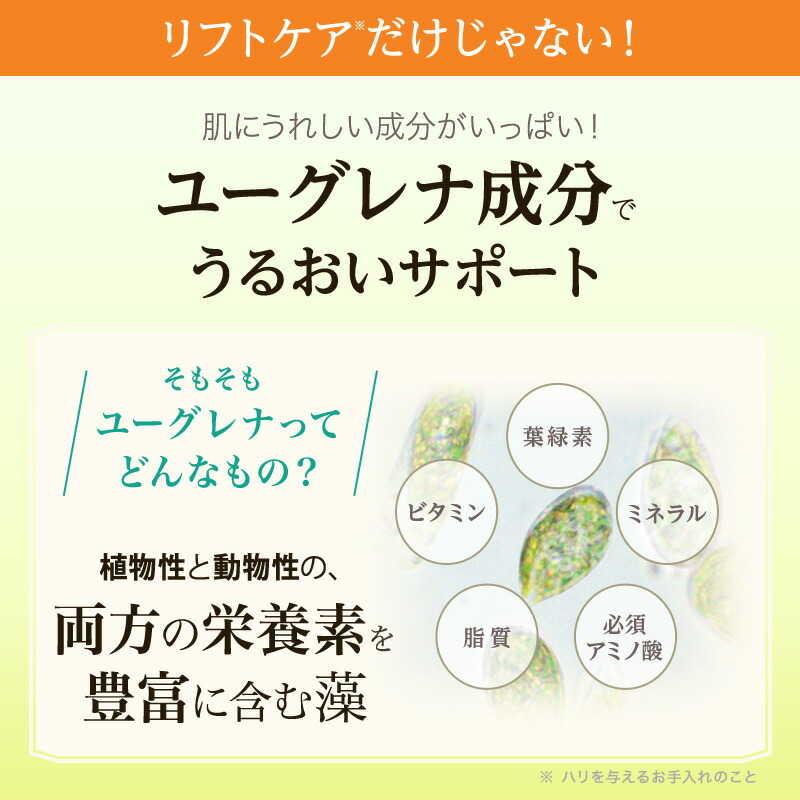 楽天市場】【ポイント10倍】【ランキング1位獲得】【4個セット+1個
