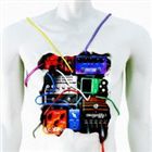 楽天市場】ワンオク 感情エフェクト 初回の通販