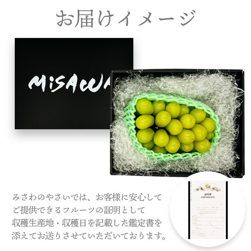 楽天市場】シャインマスカット ギフト 約600g（大房 1房入り） 約1kg