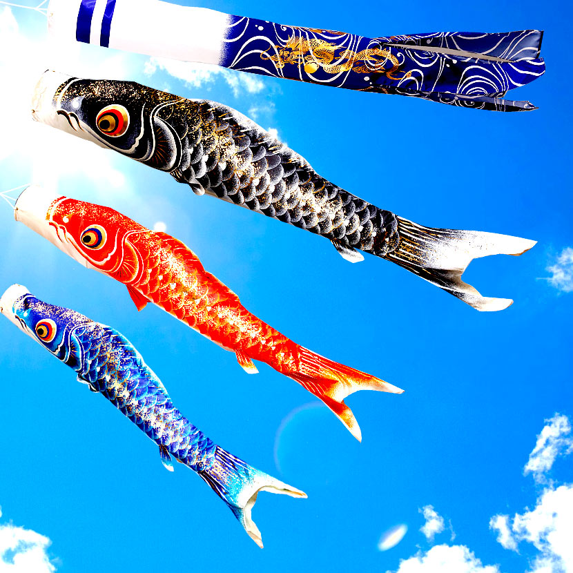 楽天市場】【2/18から25迄☆全品ポイント2倍！】こいのぼり 鯉のぼり