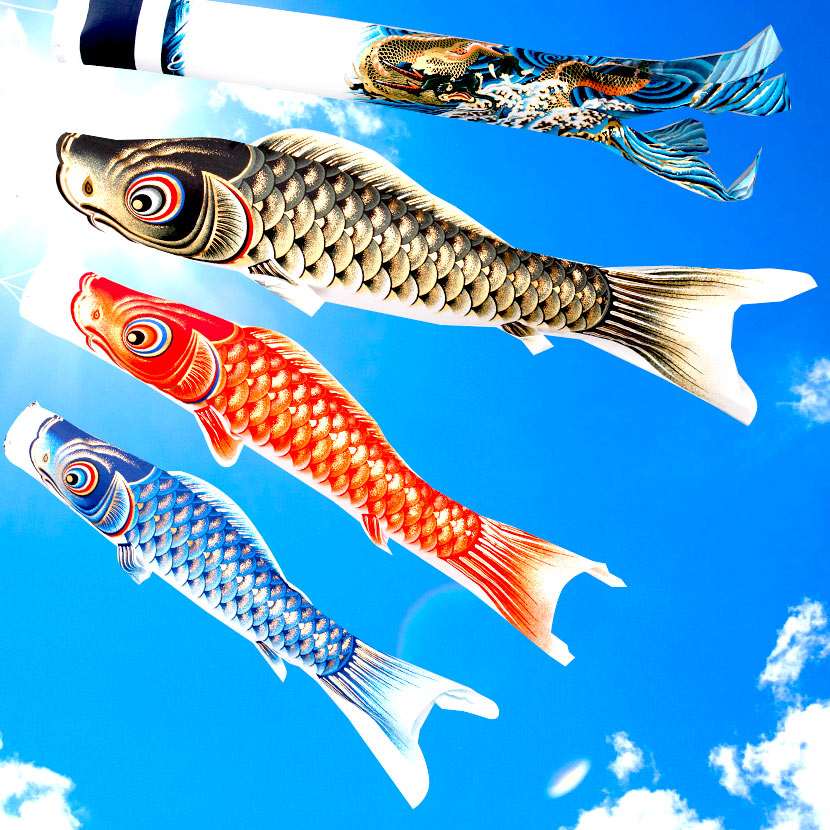 楽天市場】【2/18から25迄☆全品ポイント2倍！】こいのぼり 鯉のぼり