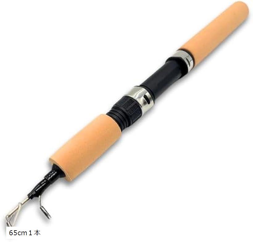 楽天市場】釣り竿 釣竿 コンパクト ロッド 穴釣り ワカサギ ルアー