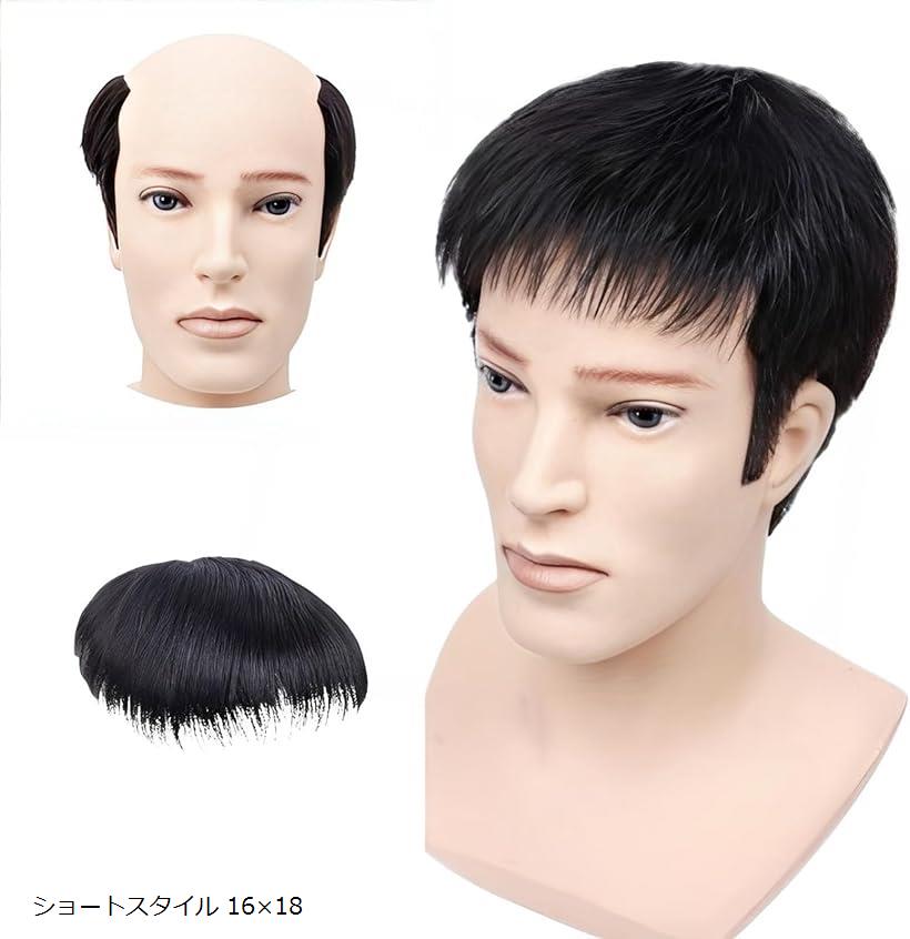 楽天市場】ウィッグ メンズ ハゲ隠し カツラ 男性用 ワンタッチ カバー