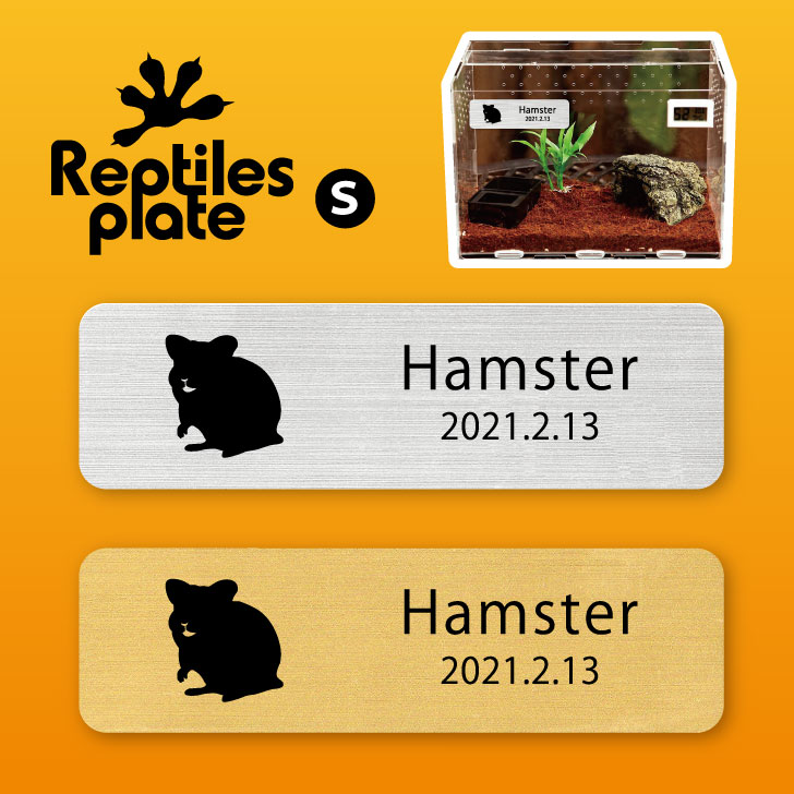 楽天市場】爬虫類用孵卵器 レプタイル プロ90 ジュラゴン : eバード