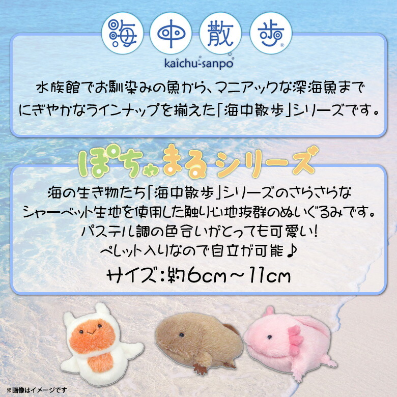 楽天市場】ぬいぐるみ 魚 ぽちゃまる AKAITYUPOTYAS-KUMI 海中散歩