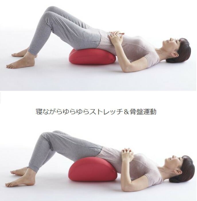 楽天市場】レビューキャンペーン目玉品◎ショップジャパン正規品