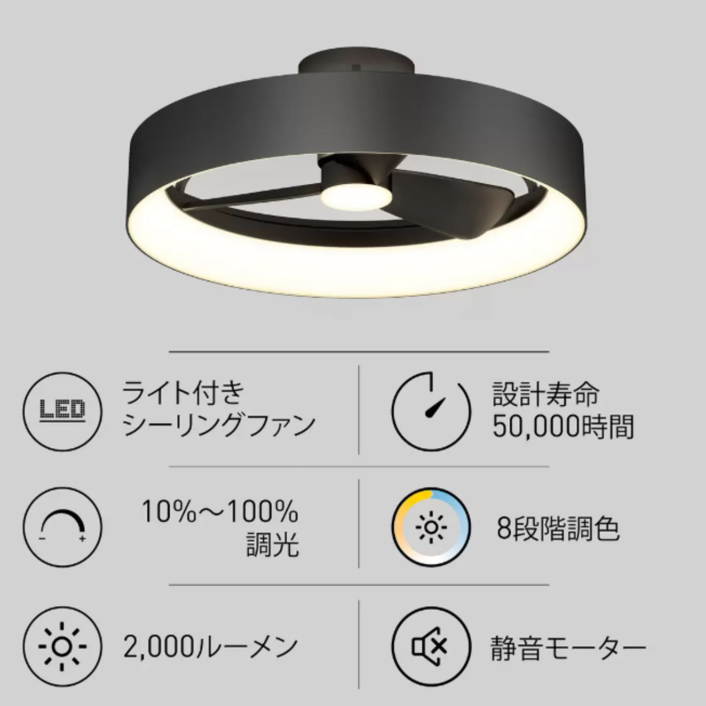 楽天市場】数量限定レビューキャンペーン目玉品（※商品レビュー必須