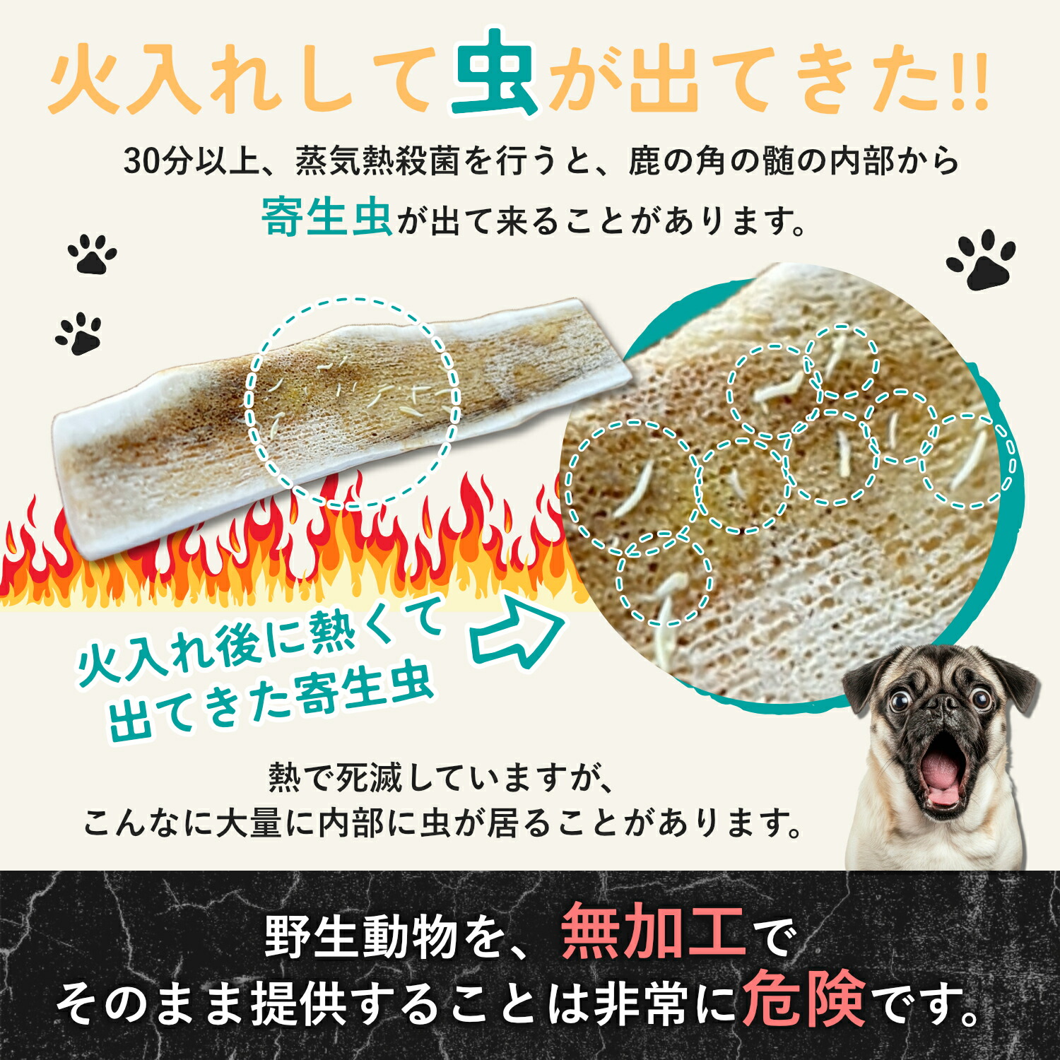 楽天市場】【 15cm 四つ割り 中型犬 】 鹿の角 犬 おもちゃ 犬用 しか