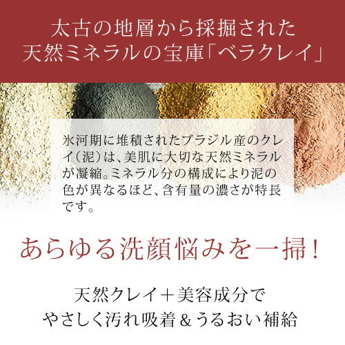 楽天市場】R&Pソフトクレンジングフォーム 人気 クレンジング 泥洗顔