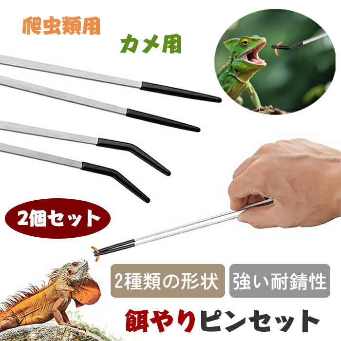 楽天市場】爬虫類用 餌やりピンセット 2個セット ステンレス製 ロング