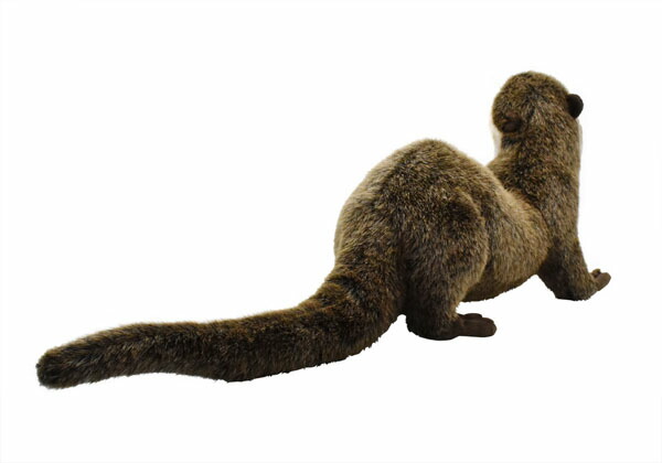 楽天市場】ハンサ【HANSA】リアルぬいぐるみ カワウソ 69cmその表情と