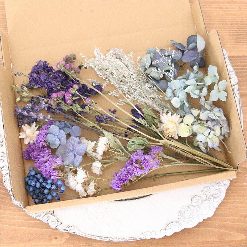 楽天市場】ブルー＆パープル系ドライフラワー 花材 セット 【A5