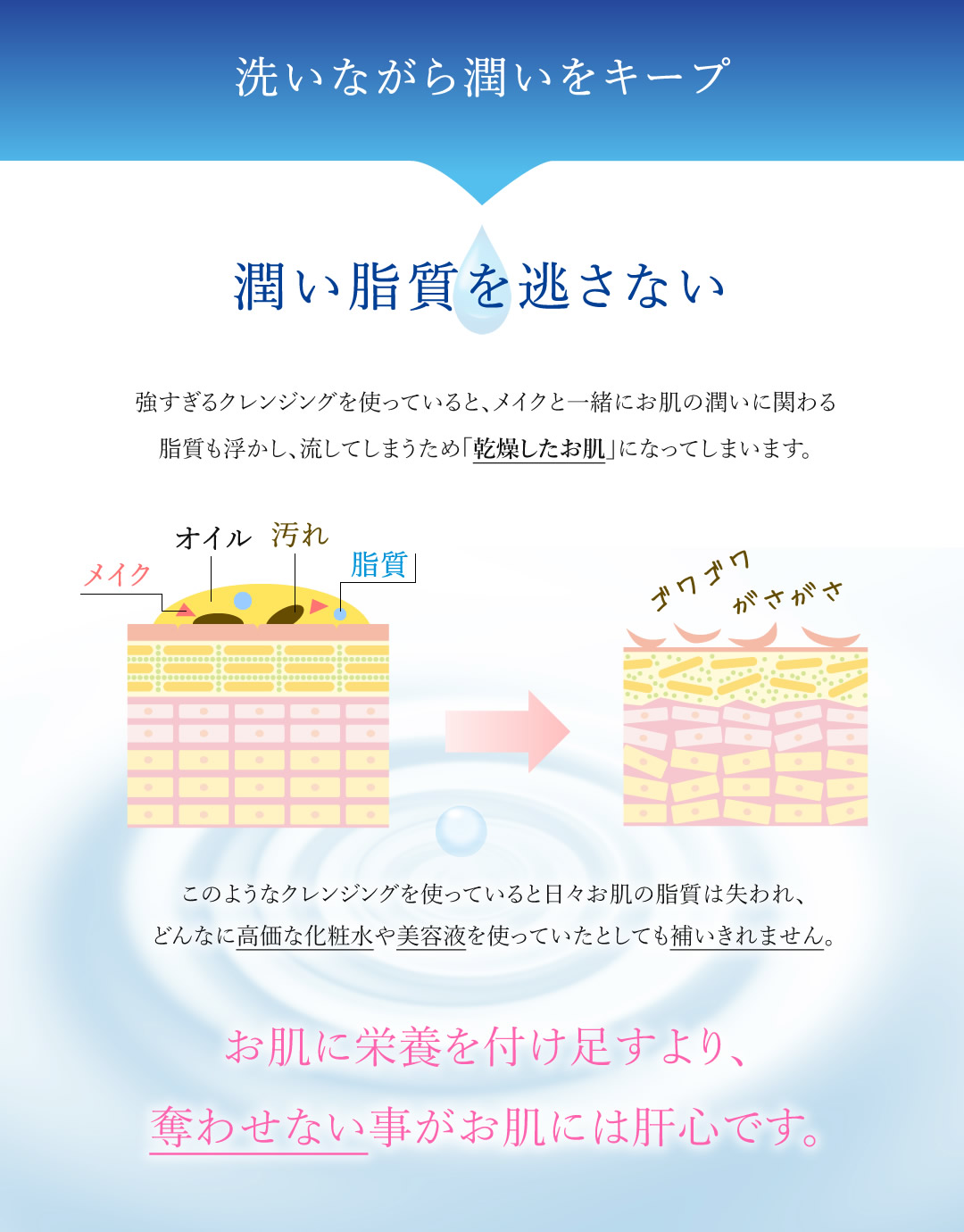 楽天市場】【正規販売代理店】クリムヴィータ リペアクレンジング150g